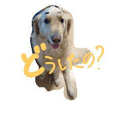 [LINEスタンプ] うちのまっくす