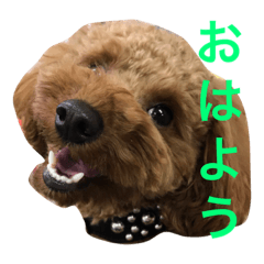 [LINEスタンプ] パン屋のパンくん