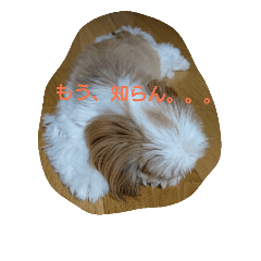 [LINEスタンプ] しーずーのリリィ。