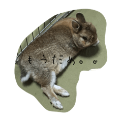 [LINEスタンプ] はにーとめぽ