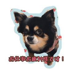 [LINEスタンプ] チップとザック