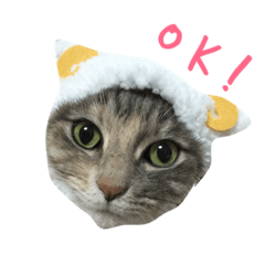 [LINEスタンプ] ポコとテン