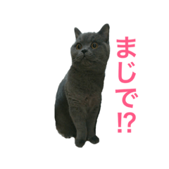[LINEスタンプ] まるちゃんスタンプ 2