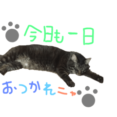 [LINEスタンプ] ハリーの日常。