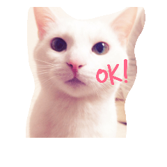 [LINEスタンプ] アリアたん