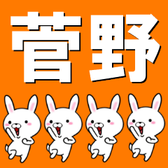 [LINEスタンプ] 超★菅野(すがの・かんの)なウサギの画像（メイン）