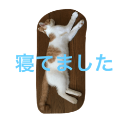 [LINEスタンプ] うちのケビン2