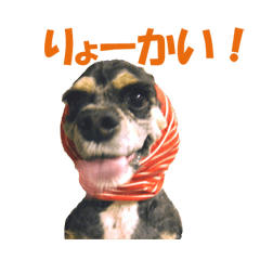 [LINEスタンプ] My lovely Lion Vol.1 re-make