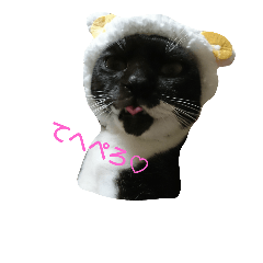 [LINEスタンプ] リアルうちのにゃんこ