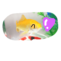 [LINEスタンプ] 可愛いピアたん
