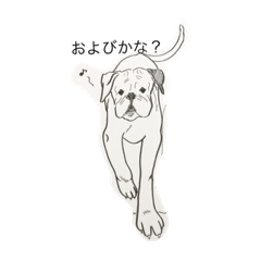 [LINEスタンプ] 素敵なあなた2