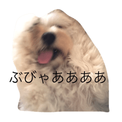 [LINEスタンプ] あんちゃりり