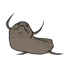 [LINEスタンプ] ハイギョの仲間