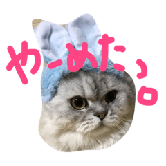 [LINEスタンプ] ルナです