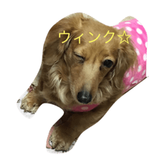 [LINEスタンプ] ひな＆さな