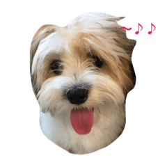 [LINEスタンプ] チワマル ぴかる 2♪
