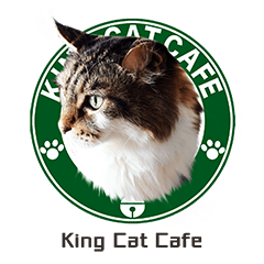 [LINEスタンプ] 猫王スタンプ第1弾