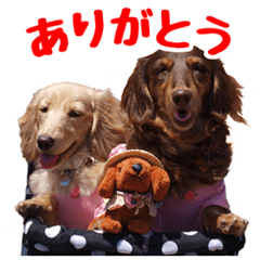 [LINEスタンプ] 蛍光灯姉妹