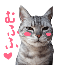 [LINEスタンプ] たまさぶろぅ。