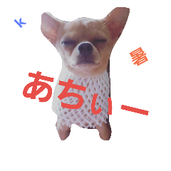 [LINEスタンプ] こた＆てつ1