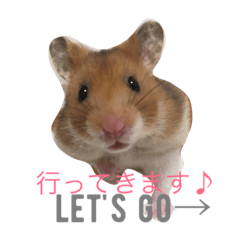 [LINEスタンプ] ゴールデンハムスターのふぅみぅ＆ベビハム