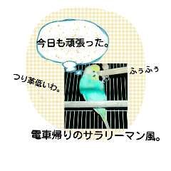 [LINEスタンプ] ぴよぴよインコの毎日。