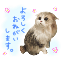 [LINEスタンプ] うたはな スタンプ vol.1