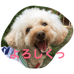 [LINEスタンプ] ラテポンポン