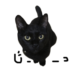 [LINEスタンプ] くろねこ〜Happy black cat〜の画像（メイン）