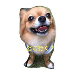 [LINEスタンプ] モンpart2