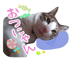 [LINEスタンプ] ウチのたまくん