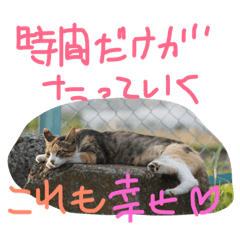 [LINEスタンプ] 猫鹿鳥