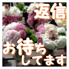 [LINEスタンプ] 薔薇の花♡アソート9_挨拶メッセージの画像（メイン）