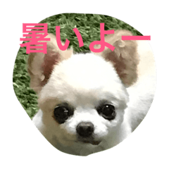 [LINEスタンプ] とぼの日常