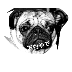 [LINEスタンプ] ココアのささやき