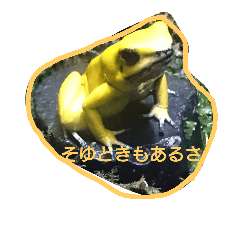 [LINEスタンプ] かえるくん    スタンプ 2