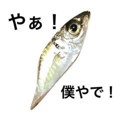 [LINEスタンプ] 魚です