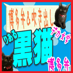 [LINEスタンプ] ★博多弁の黒猫の親子★実写版の画像（メイン）