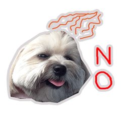 [LINEスタンプ] Sunny Lovely Dog