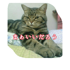 [LINEスタンプ] わんこさんずとにゃんこさんず