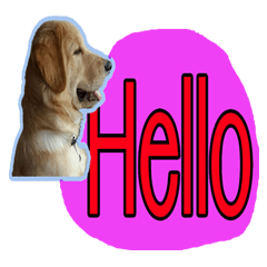 [LINEスタンプ] Noo Mee Ngern Paa Ruay