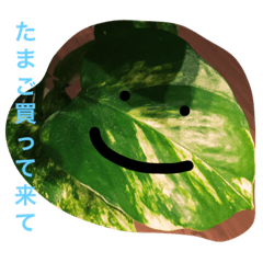 [LINEスタンプ] おねがいがあります