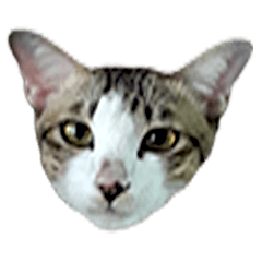 [LINEスタンプ] Thai House Cats