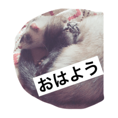 [LINEスタンプ] フェレットみつ