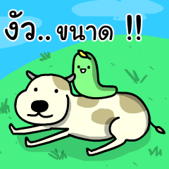 [LINEスタンプ] Mangbong Kammuang