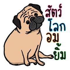 [LINEスタンプ] Sat lok om yim Lollipop animal world