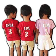 [LINEスタンプ] TRIPLET ANDA ADA AIDA
