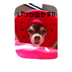 [LINEスタンプ] つぶやきうたさん。