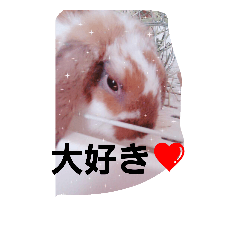 [LINEスタンプ] ココタン☆