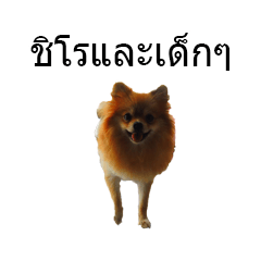 [LINEスタンプ] my dog and my puppy